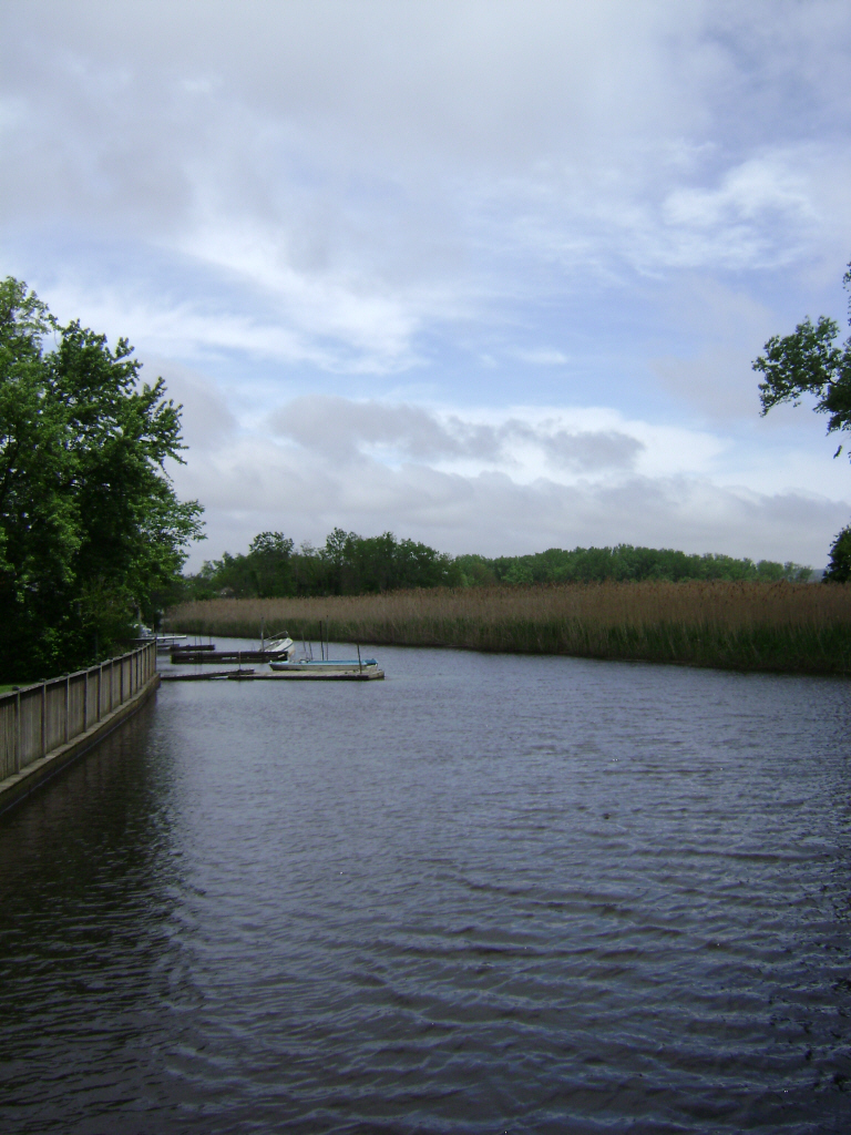 Tidal Sparkill Creek flowing past marsh grasses in Piermont